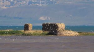 دریاچه وان ترکیه