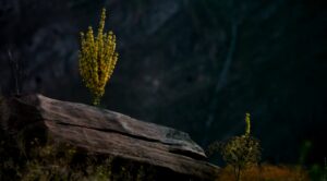 شهرهای دریاچه وان