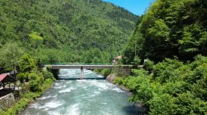 طبیعت بکر دریاسیاه